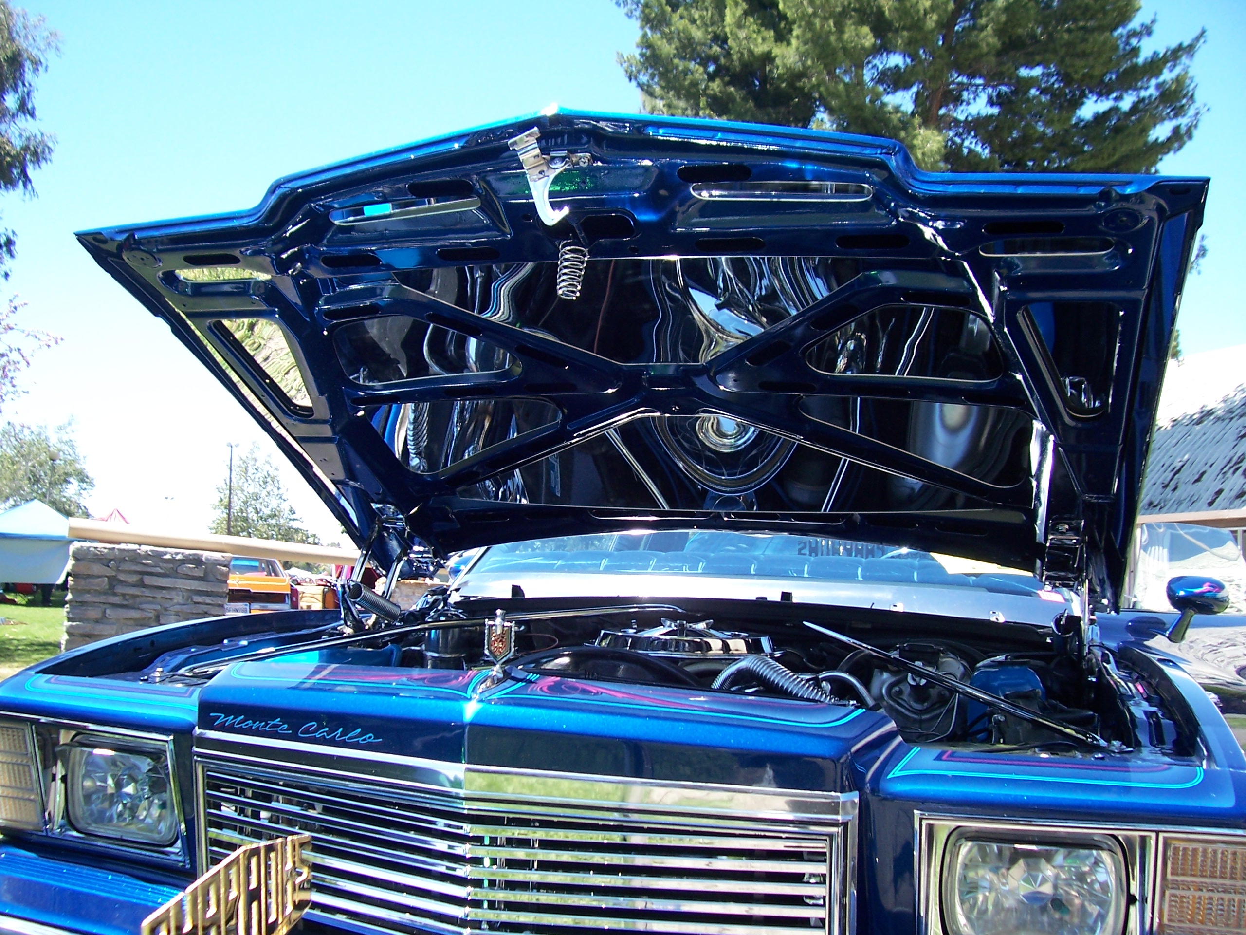 Monte Carlo Hood, Trunk, & Complete Sets